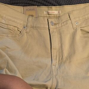 Beige Casual Pants